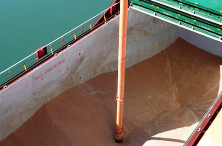 Déchargement du blé de la cale du bateau